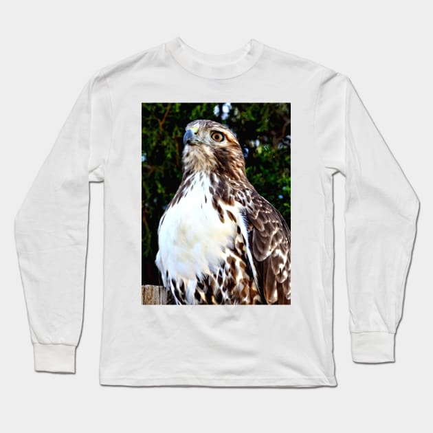 Adult Red Tailed Hawk Long Sleeve T-Shirt by Scubagirlamy
